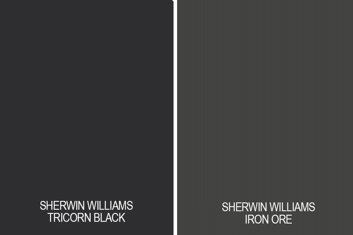 Key_Differences_Between_Tricorn_Black_and_Iron_Ore
