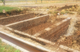 Organic Manure