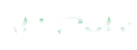 Indicadores Naturgas 2020