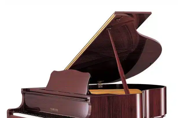 Accessories--615x410.jpg