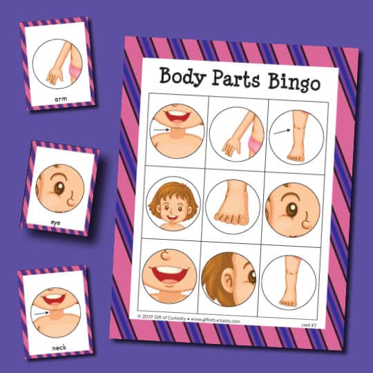 Body Part Bingo