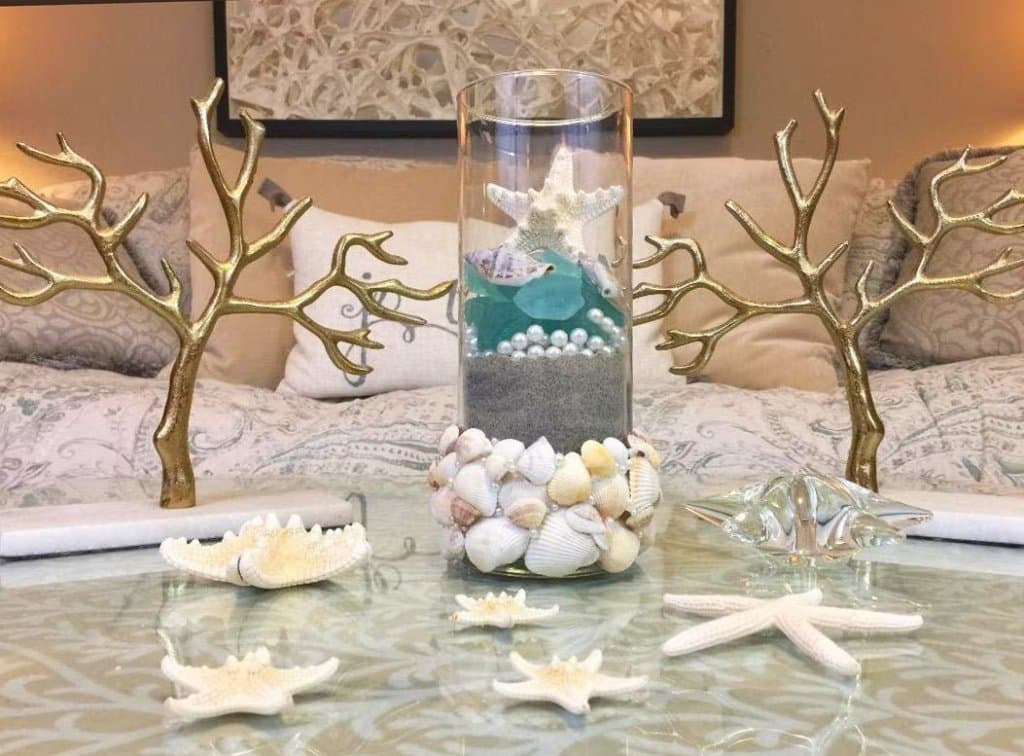 Coastal Seashell Display