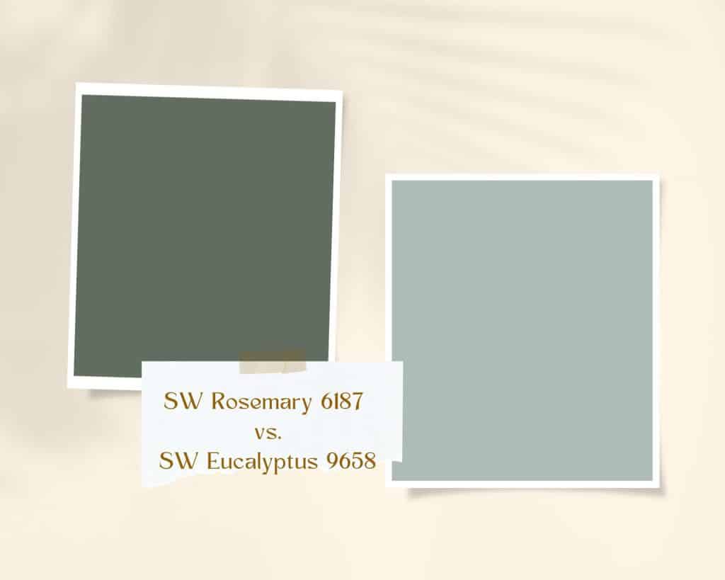 Eucalyptus SW 9658