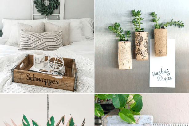 Ingenious Upcycling Ideas You'll Find Easy to Make