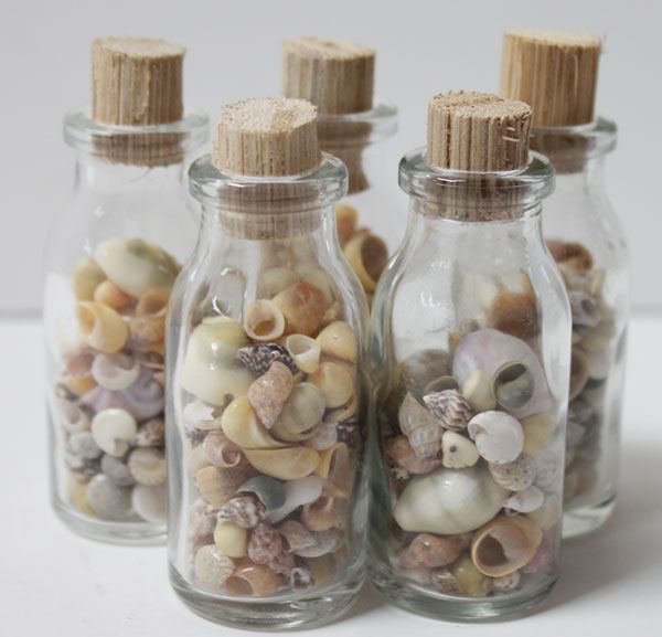 Seashell Bottles