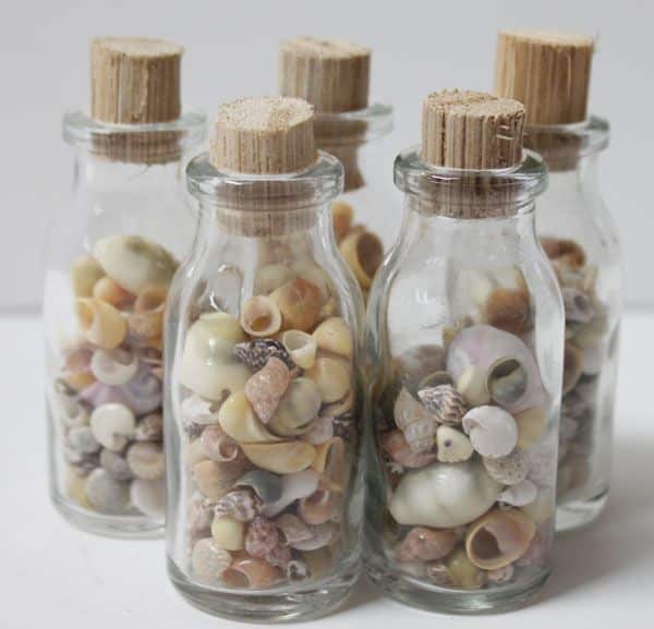 Seashell Bottles