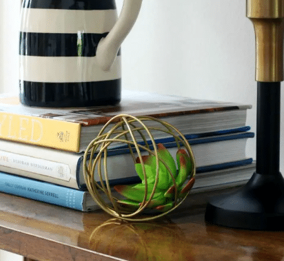 Succulent Wire Orb