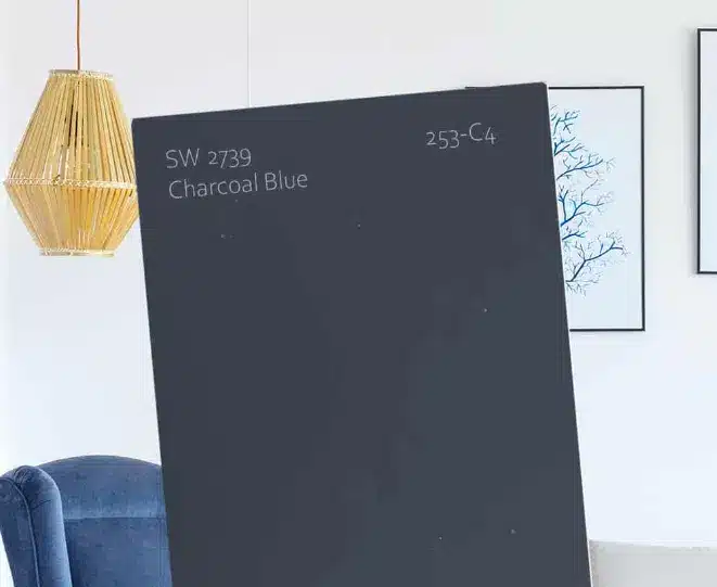 Top-5-Benefits-Of-Using-Charcoal-Blue-.png