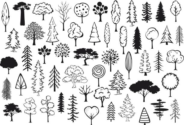 Tree Doodles