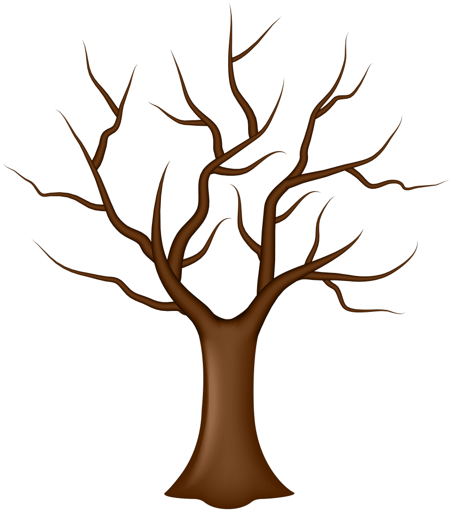 Tree with No Leaves