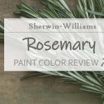 Sherwin Williams Rosemary SW 6187 – A Dark Sage Green