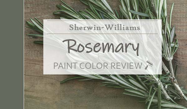 Rosemary SW 6187 - Green Paint Color - Sherwin-Williams