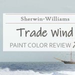 Sherwin Williams Gray Screen Review – The Exquisite ...