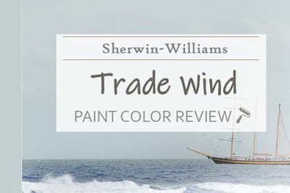 Sherwin Williams Gray Screen Review – The Exquisite ...