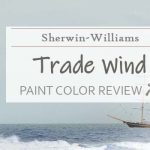 Sherwin Williams Tradewind SW 6218 Review