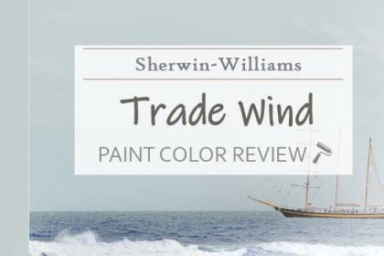 Sherwin Williams Tradewind SW 6218 Review