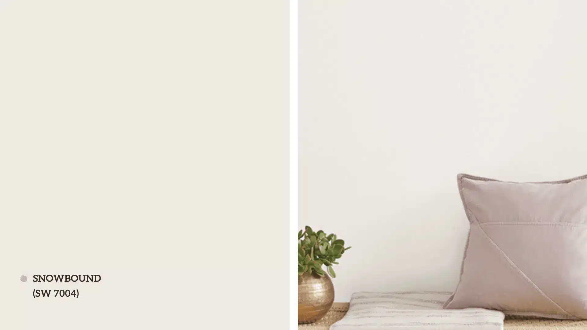 Snowbound-SW-7004-by-Sherwin-Williams.png