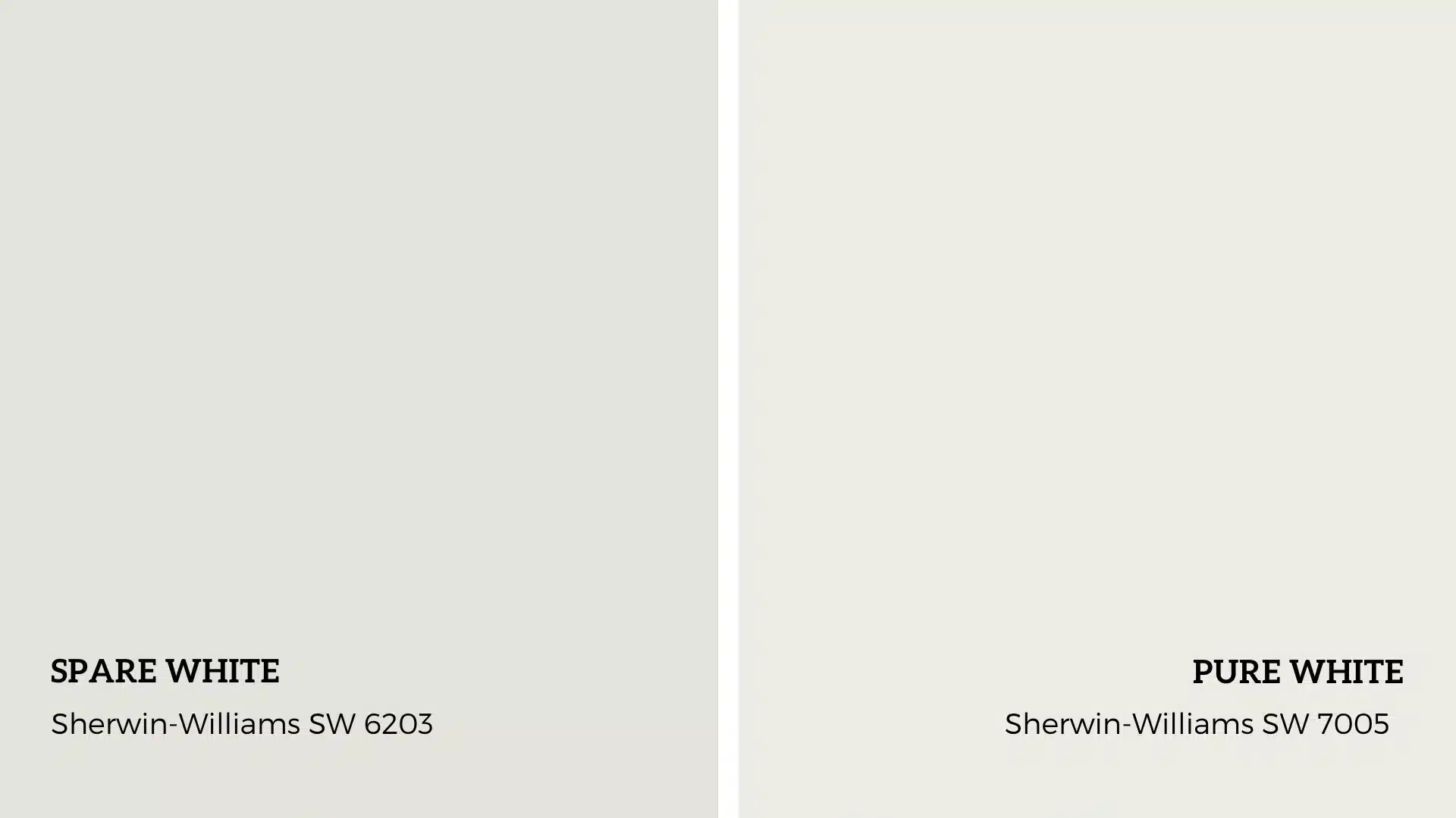Understanding-The-Basics-Of-Spare-White-vs-Pure-White.png