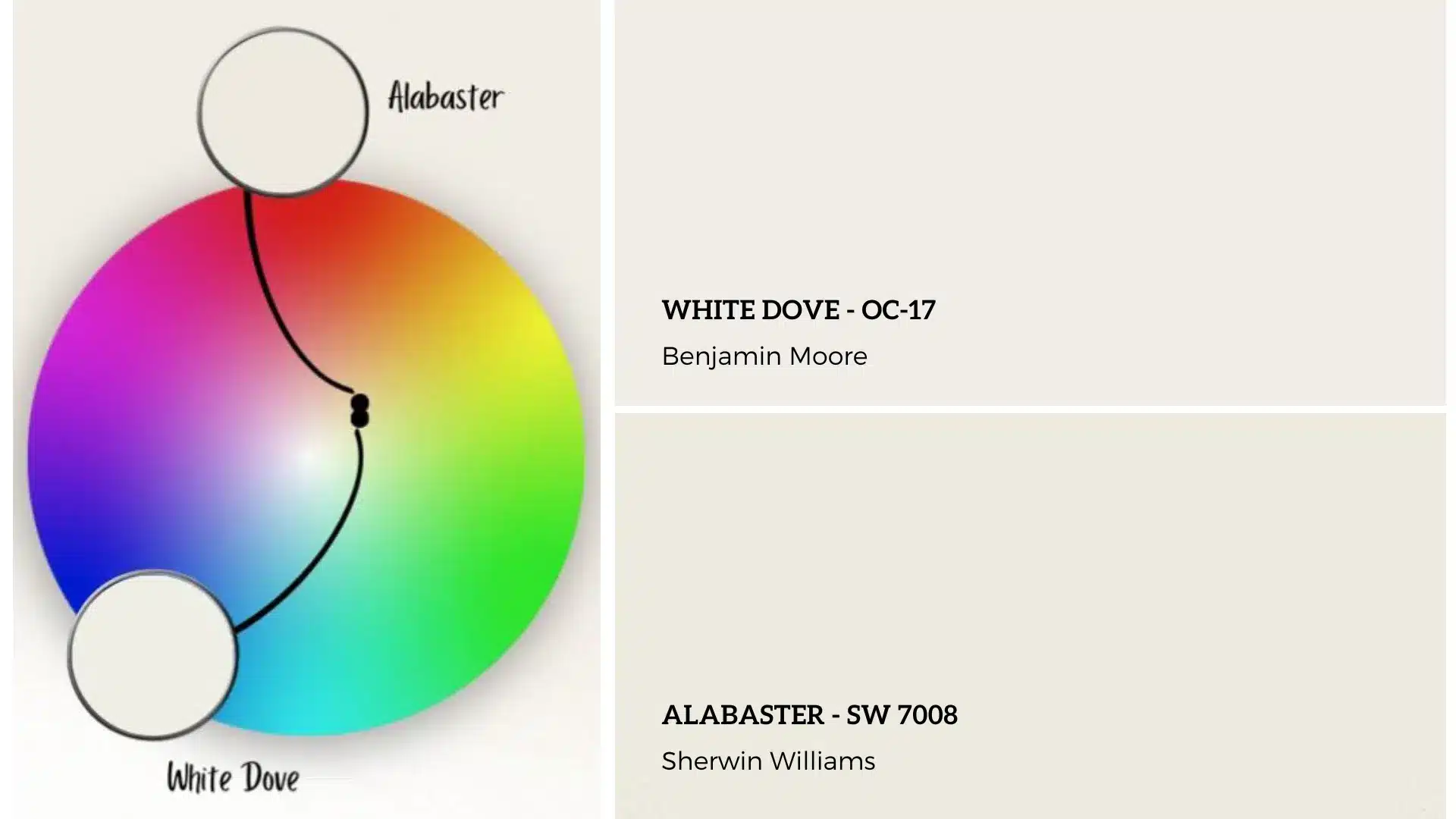 Understanding-The-Basics-Of-White-Dove-vs-Alabaster.png