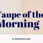 taupe of the morning