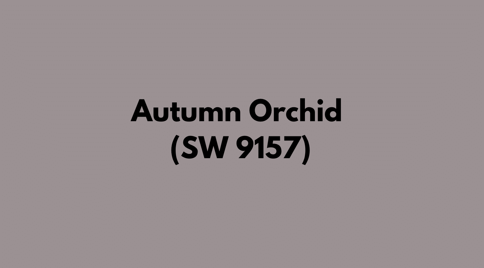 Autumn_Orchid_SW_9157
