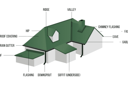 Know Your Roof: 23 Anatomy Parts in Simple Terms