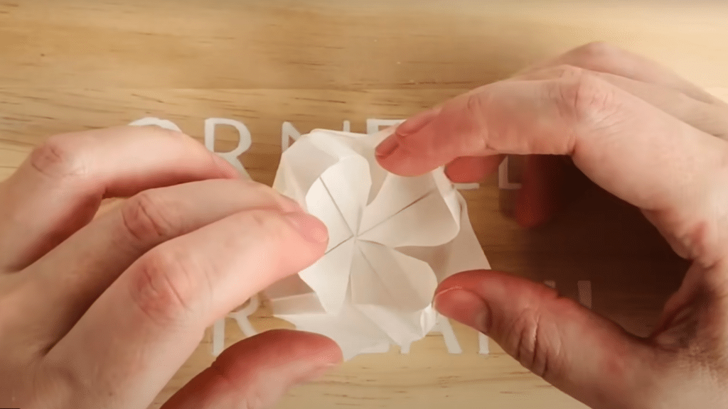 Shaping the Lotus Flower