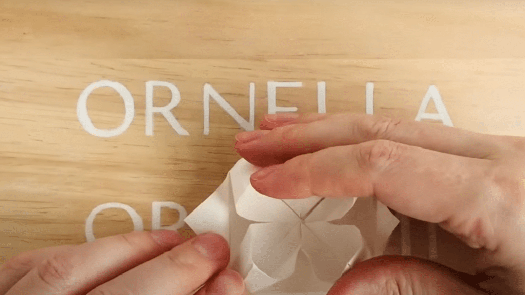 Shaping the Petals