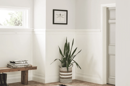 Sherwin Williams Eider White(SW 7014): Complete Review