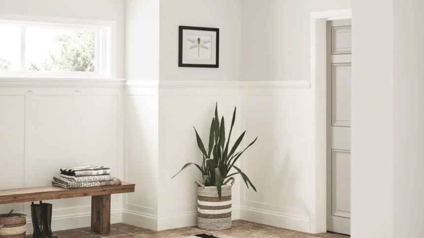 Sherwin Williams Eider White(SW 7014): Complete Review