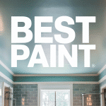 What is the Best Paint for a Bathroom Ceiling?