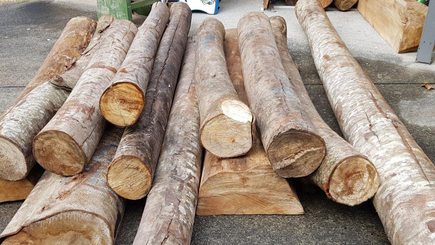 Balsa_Wood