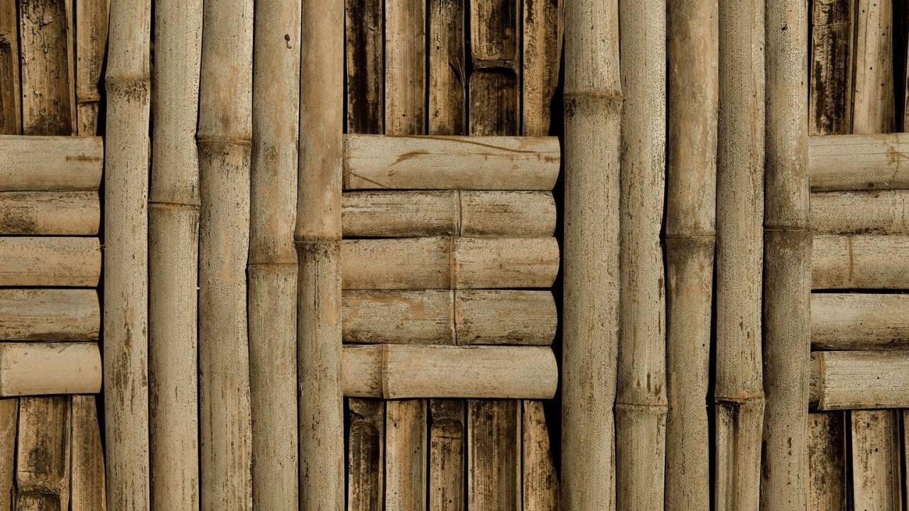 Bamboo_The_Eco-Friendly_Favorite