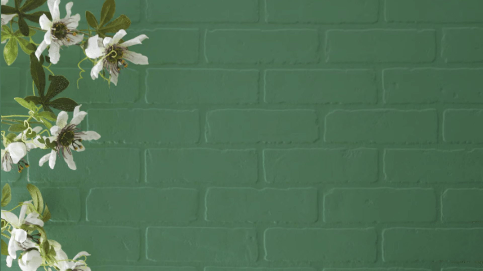 Fresh_Balsam