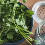 How to Freeze Cilantro and Preserve It for Future Use
