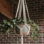 How to Make a Macrame Plant Hanger