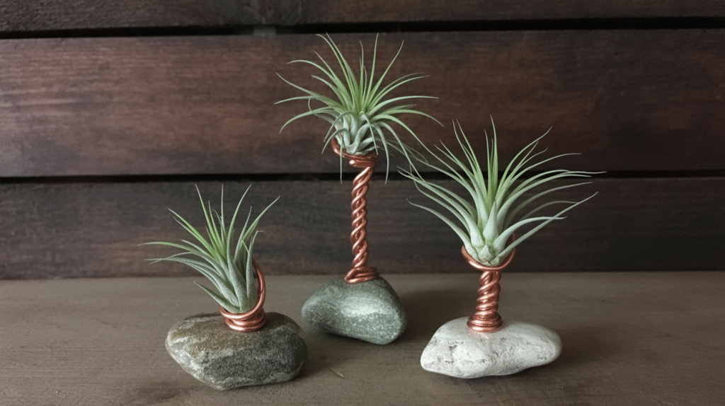 1. Wire or Metal Holders