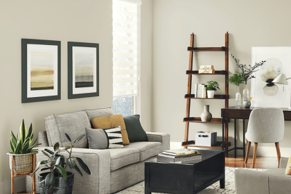 Sherwin-Williams Pure White (SW 7005): Color Review