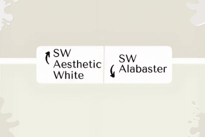 Aesthetic White vs Alabaster- A Visual Journey