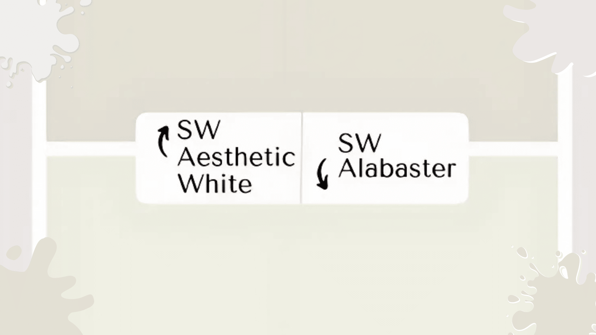 Aesthetic White vs Alabaster- A Visual Journey