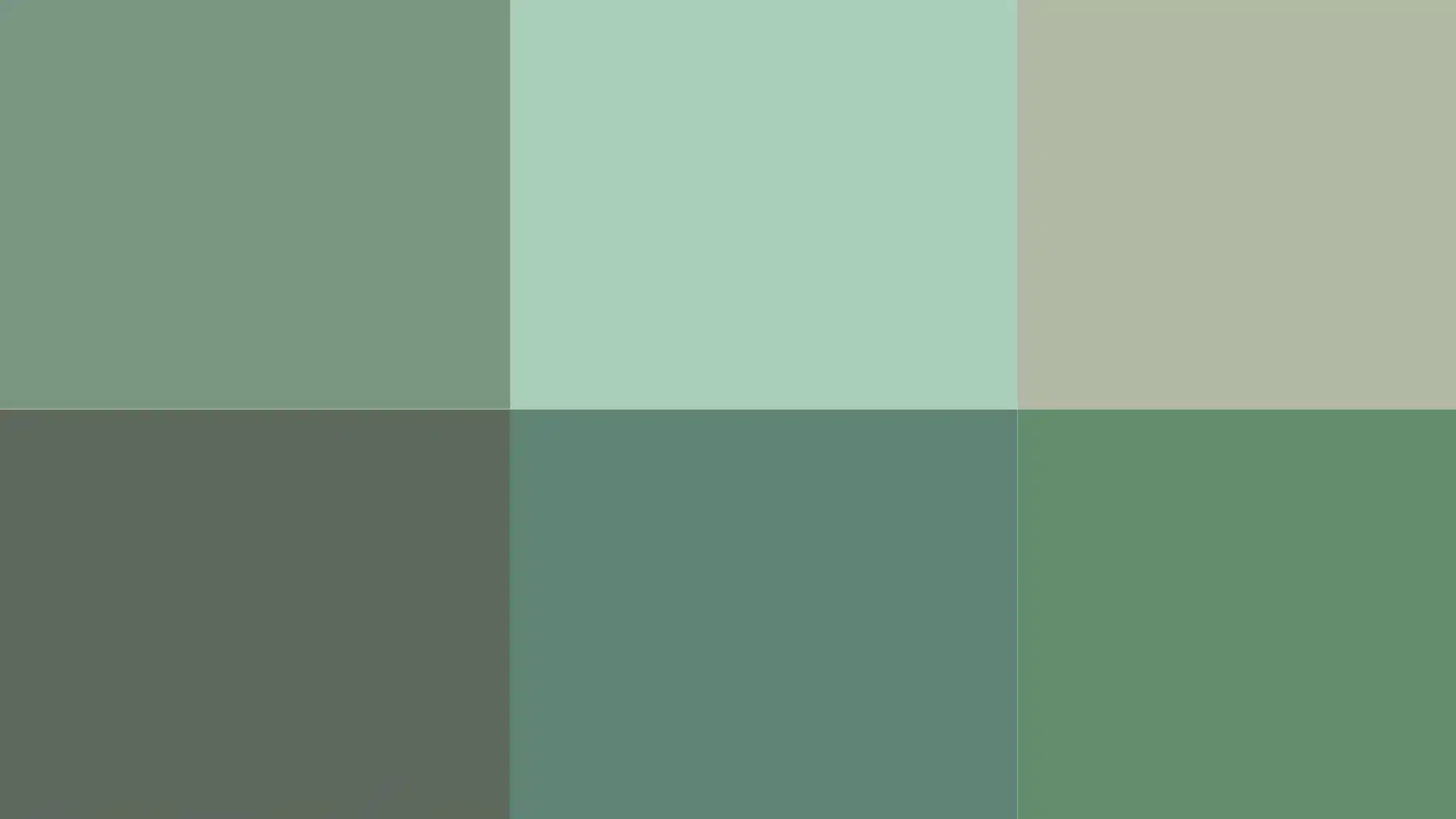Deeper Gray-Green Shades