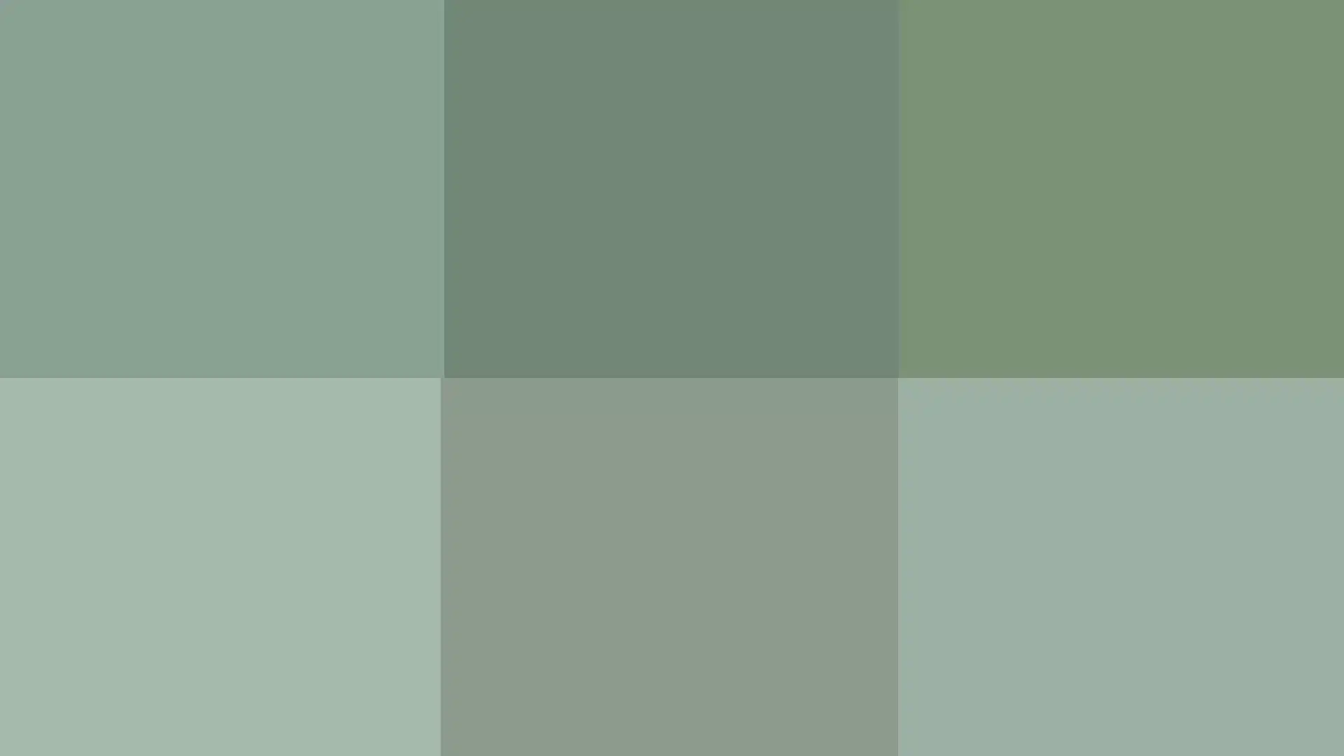 Gray-Green Tones with a Touch of Blue