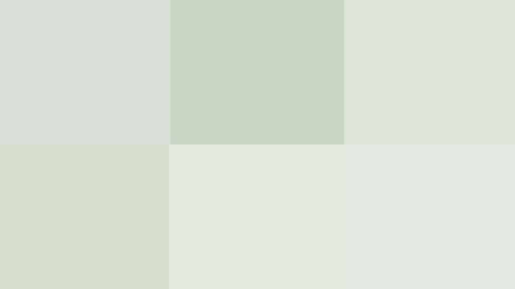 Lighter Gray-Green Shades