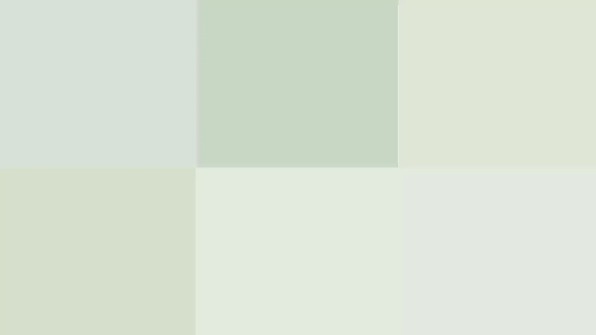 Lighter Gray-Green Shades