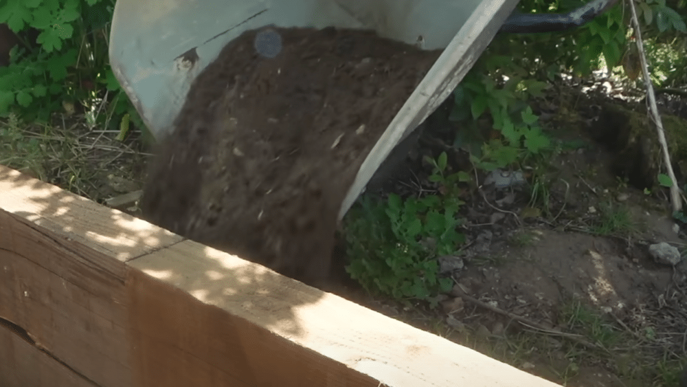 backfill-and-finish