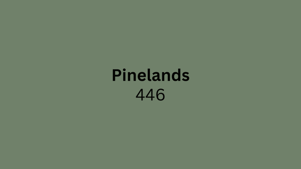 pinelands
