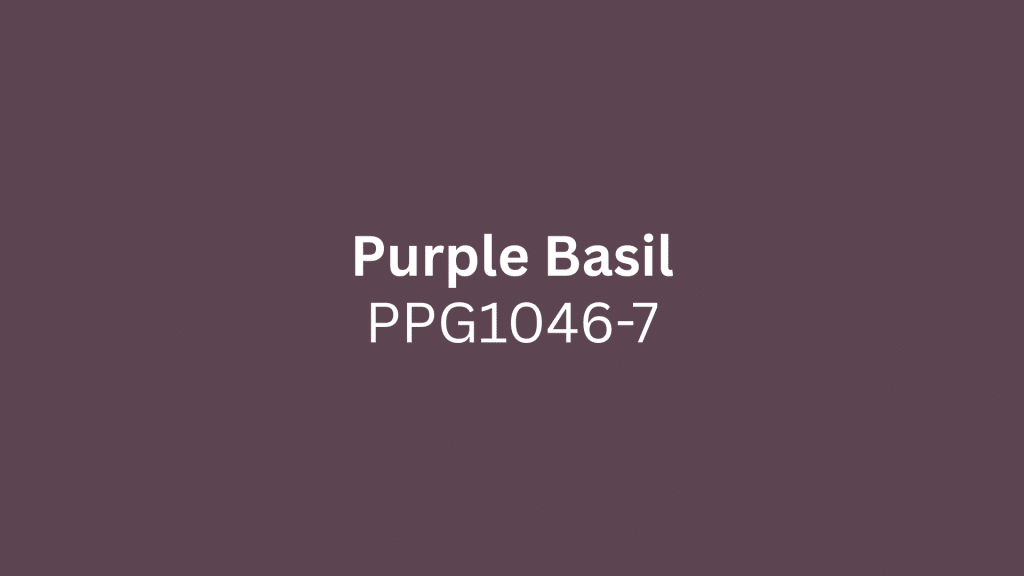purple-basil