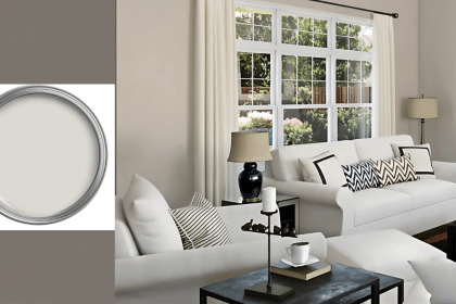 sherwin williams popular gray