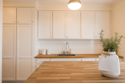 small kitchen remodel cost without appliances