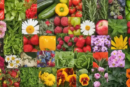 things-to-grow-in-a-garden.png